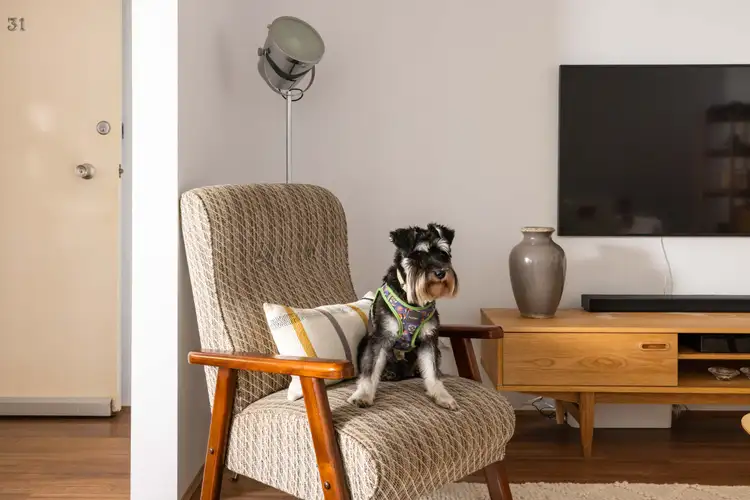 Third view of Homely apartment listing, 31/9-19 Nickson Street, Surry Hills NSW 2010