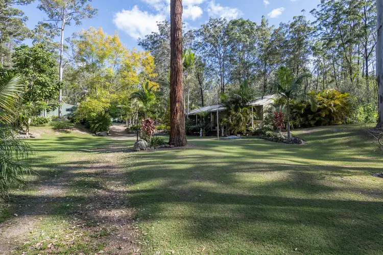 Second view of Homely rural property listing, 3623 Armidale Road, Nymboida NSW 2460