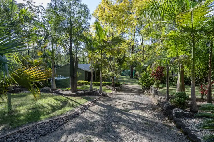 Fifth view of Homely rural property listing, 3623 Armidale Road, Nymboida NSW 2460