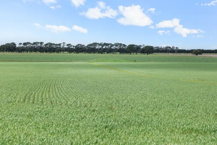 Fourth view of Homely rural property listing, 725 Barunah South Road, Wingeel VIC 3321
