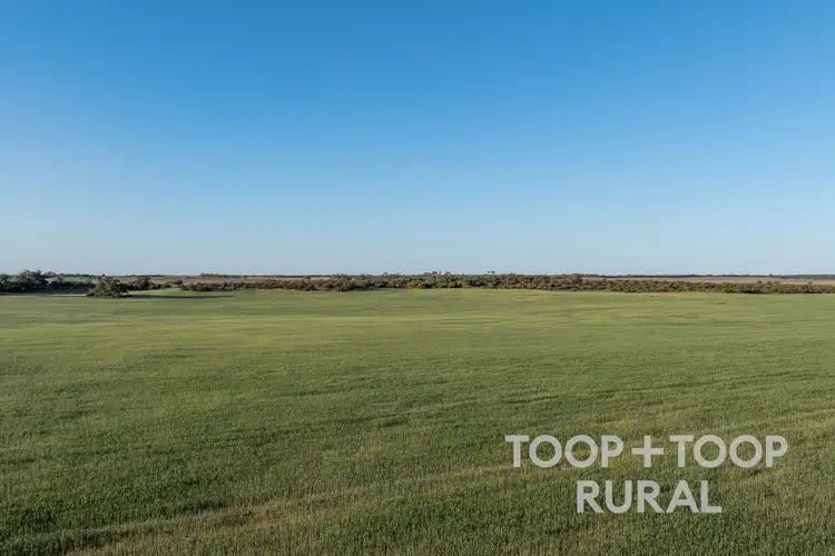 Fourth view of Homely rural property listing, LOT 499 Murbko Road, Murbko SA 5320