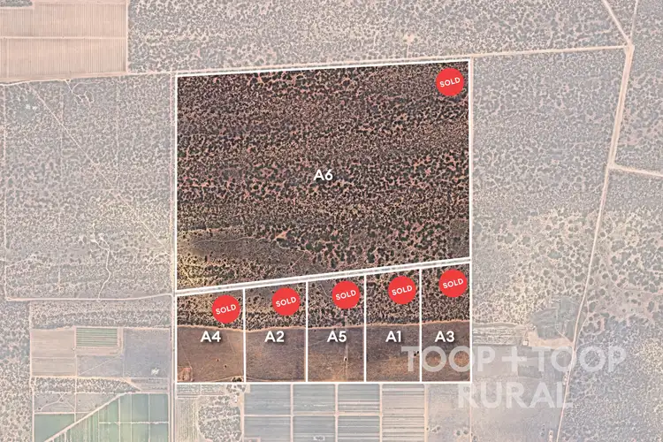 LOT 1265 Warnecke Road, Monash SA 5342