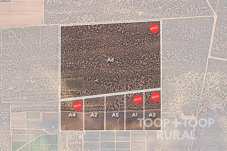 LOT 1265 Warnecke Road, Monash SA 5342