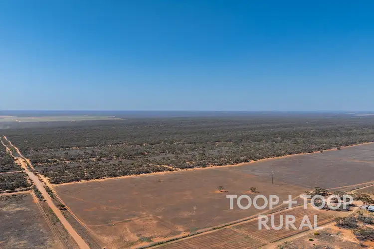 Second view of Homely rural property listing, LOT 1265 Warnecke Road, Monash SA 5342