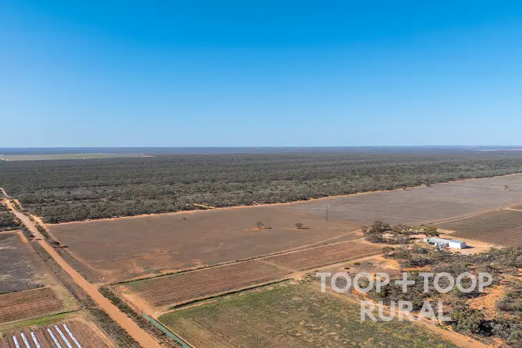 Third view of Homely rural property listing, LOT 1265 Warnecke Road, Monash SA 5342