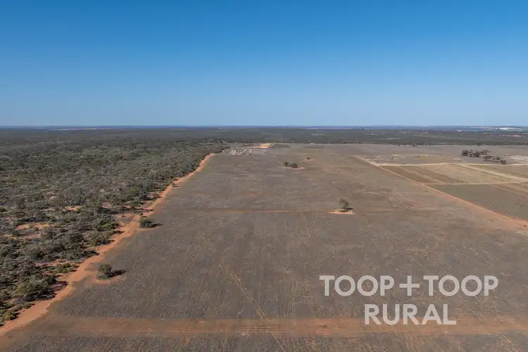 Sixth view of Homely rural property listing, LOT 1265 Warnecke Road, Monash SA 5342