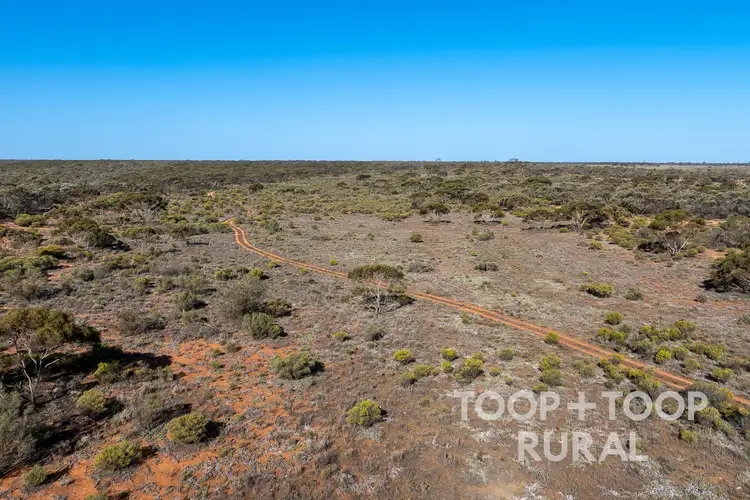 Seventh view of Homely rural property listing, LOT 1265 Warnecke Road, Monash SA 5342