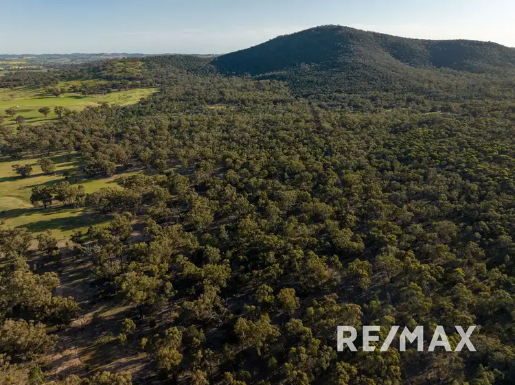 Third view of Homely rural property listing, 1260 Ironbong Road, Bethungra NSW 2590