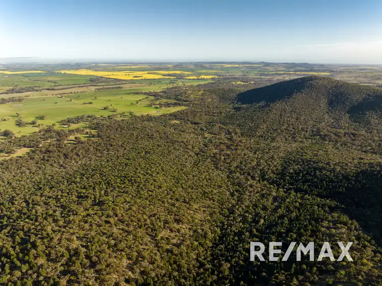 Fourth view of Homely rural property listing, 1260 Ironbong Road, Bethungra NSW 2590