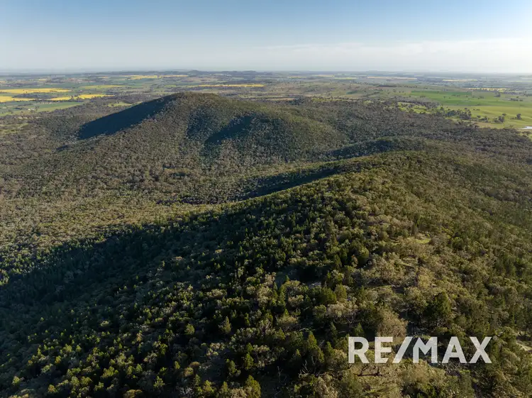 Fifth view of Homely rural property listing, 1260 Ironbong Road, Bethungra NSW 2590