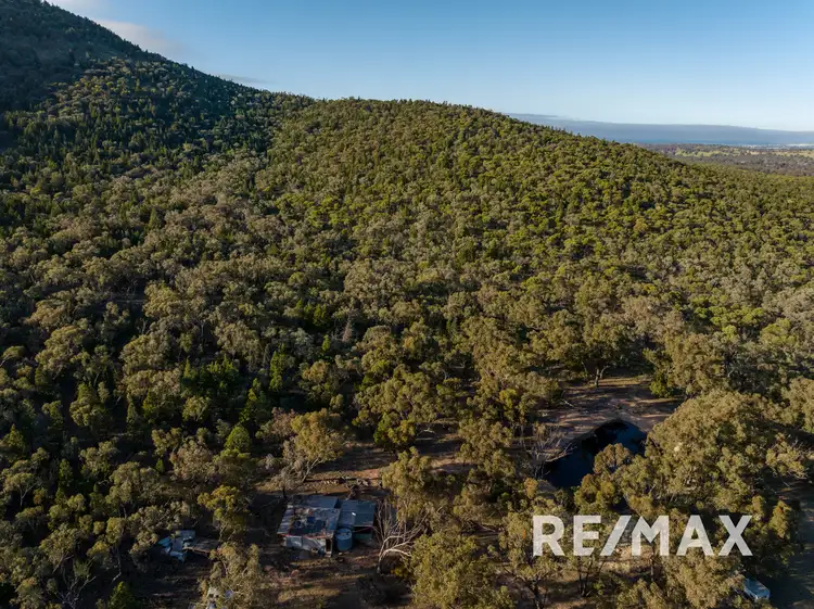 Sixth view of Homely rural property listing, 1260 Ironbong Road, Bethungra NSW 2590