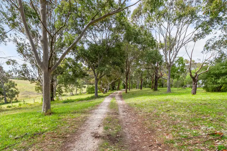 Sixth view of Homely rural property listing, 40 Cliff Road, Nyerimilang VIC 3909