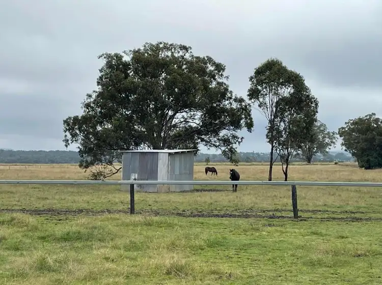 Seventh view of Homely rural property listing, 42 Chalks Road, Emu Vale QLD 4371