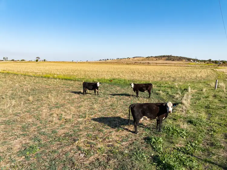Fifth view of Homely rural property listing, LOT 22, 202 Allen Road, East Greenmount QLD 4359