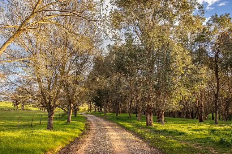 Sixth view of Homely rural property listing, 123 Hibberson Road, Huon VIC 3695