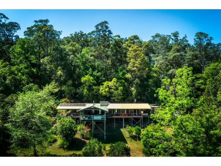 Main view of Homely rural property listing, 140 Kalang Road, Bellingen NSW 2454