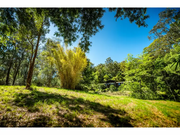 Second view of Homely rural property listing, 140 Kalang Road, Bellingen NSW 2454