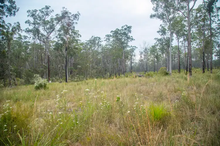Third view of Homely rural property listing, 920 Cedar Party Road, Cedar Party NSW 2429