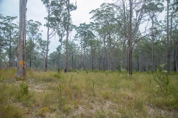 Fourth view of Homely rural property listing, 920 Cedar Party Road, Cedar Party NSW 2429