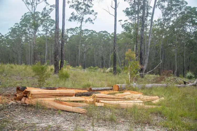 Fifth view of Homely rural property listing, 920 Cedar Party Road, Cedar Party NSW 2429