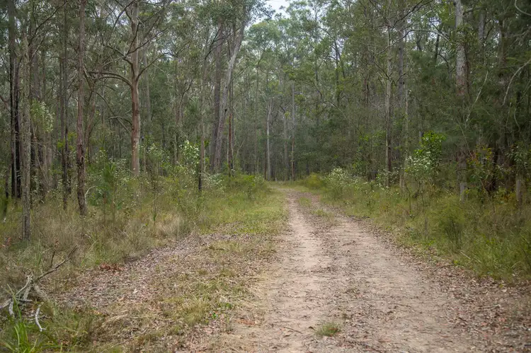 Sixth view of Homely rural property listing, 920 Cedar Party Road, Cedar Party NSW 2429
