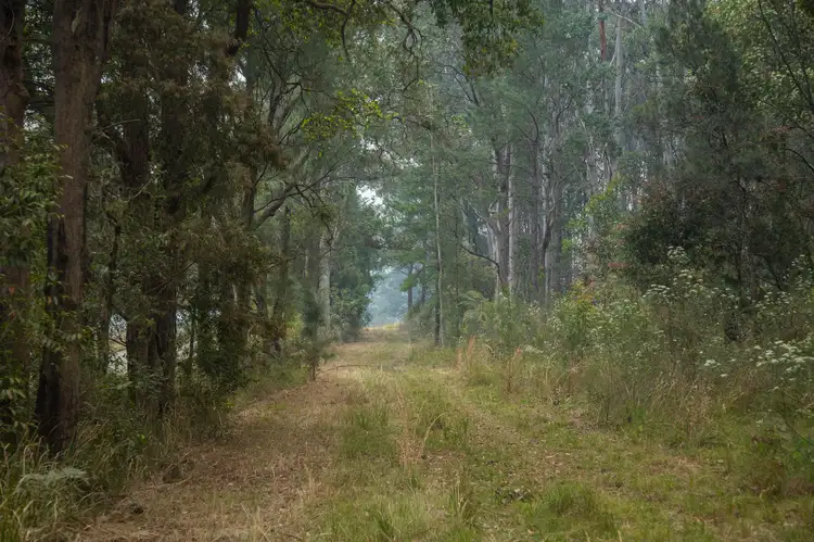 Seventh view of Homely rural property listing, 920 Cedar Party Road, Cedar Party NSW 2429