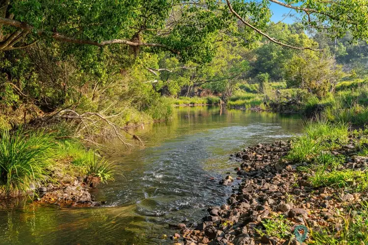 Second view of Homely rural property listing, 17 Town Road, Terania Creek NSW 2480