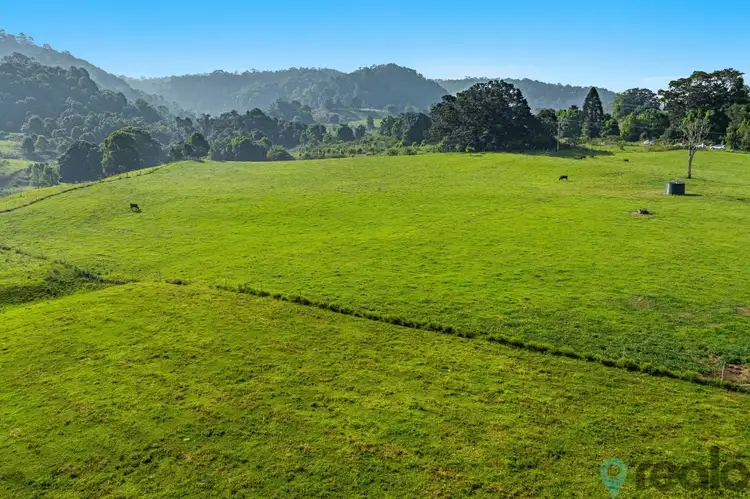 Third view of Homely rural property listing, 17 Town Road, Terania Creek NSW 2480