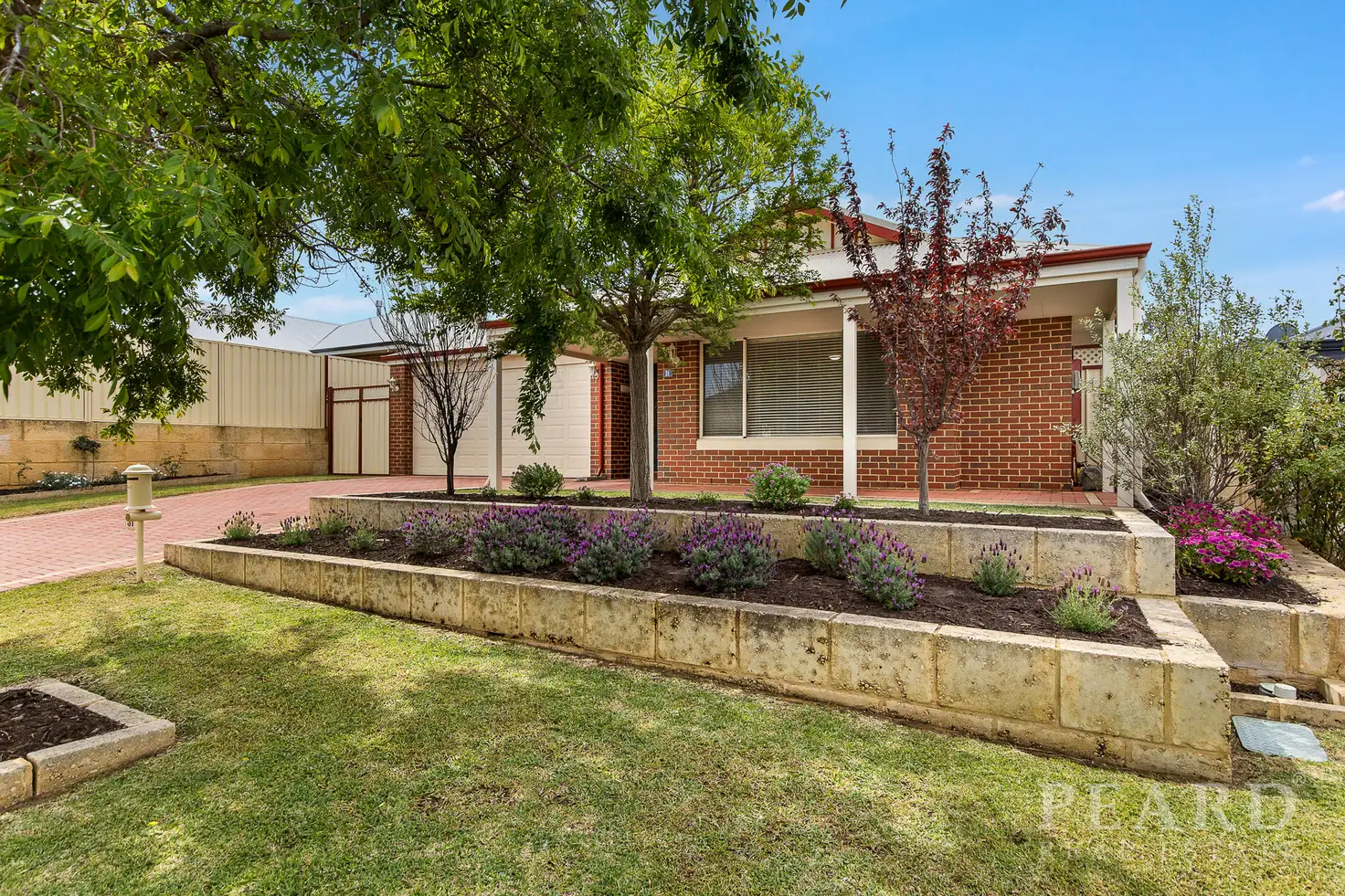 Main view of Homely house listing, 31 Tribute Vista, Baldivis WA 6171