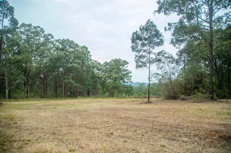 Main view of Homely rural property listing, 129 Karaak Flat Road, Karaak Flat NSW 2429