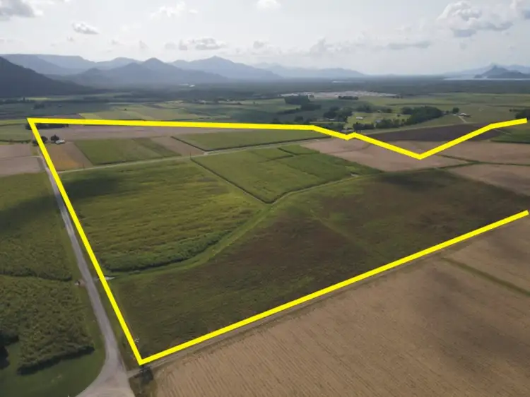 Second view of Homely rural property listing, 315 Kemp's Road, Macknade QLD 4850