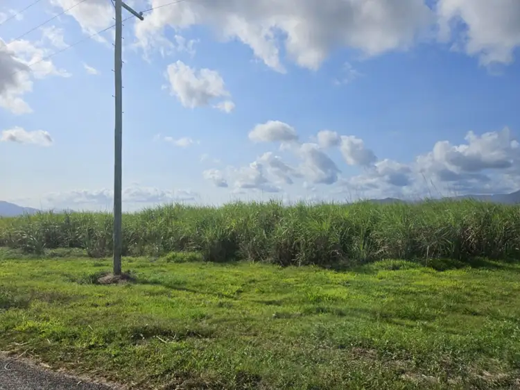 Third view of Homely rural property listing, 315 Kemp's Road, Macknade QLD 4850