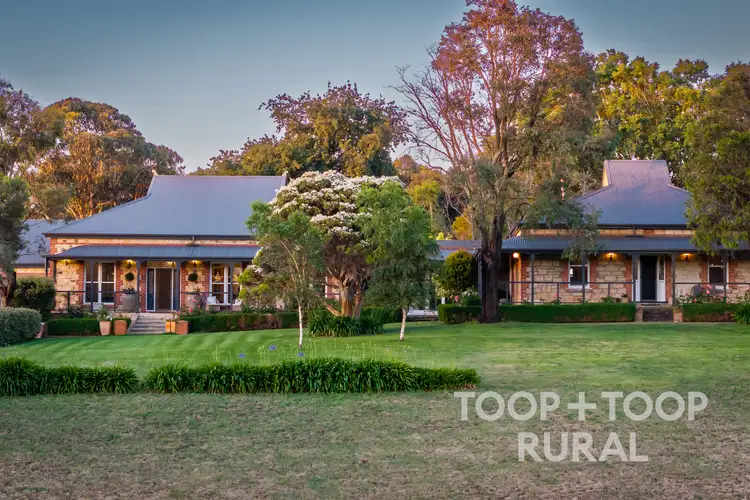 Third view of Homely rural property listing, 328 Martin Hill Road, Forreston SA 5233