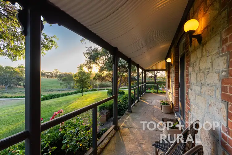 Fourth view of Homely rural property listing, 328 Martin Hill Road, Forreston SA 5233