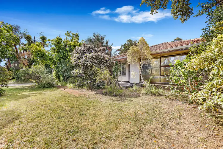 Sixth view of Homely house listing, 11 Langham Gardens, Wilson WA 6107