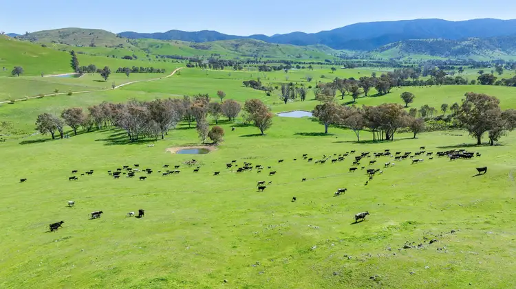 Fifth view of Homely rural property listing, 12 Evans Road, Cudgewa VIC 3705