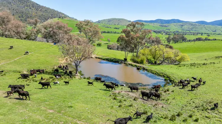 Sixth view of Homely rural property listing, 12 Evans Road, Cudgewa VIC 3705