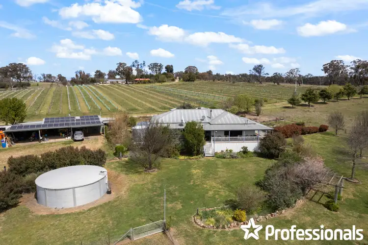 Second view of Homely rural property listing, 40 Bosworth Falls Road, O'connell NSW 2795