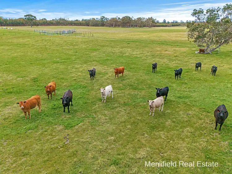 LOT 3 Bennett Road, Napier WA 6330