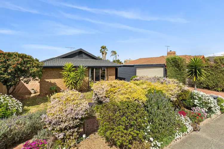 22 Holyhead Drive, Torquay VIC 3228