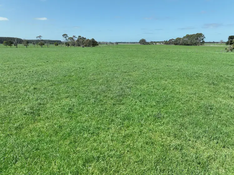 Second view of Homely rural property listing, 260 Swan Marsh-Stonyford Road, Pirron Yallock VIC 3249