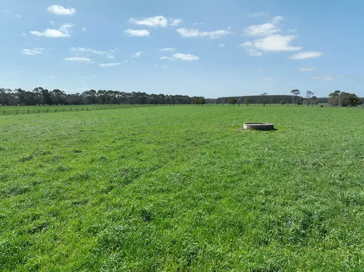 Fourth view of Homely rural property listing, 260 Swan Marsh-Stonyford Road, Pirron Yallock VIC 3249