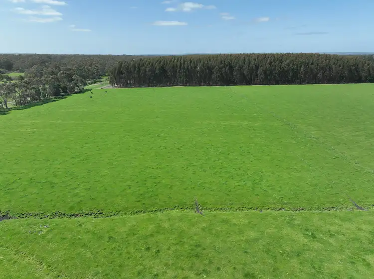 Sixth view of Homely rural property listing, 260 Swan Marsh-Stonyford Road, Pirron Yallock VIC 3249