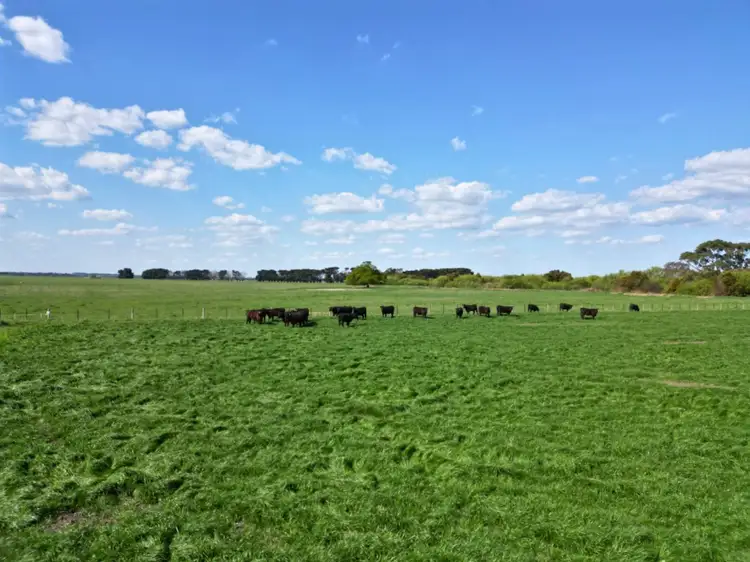 Sixth view of Homely rural property listing, 90 Scouller Street, Birregurra VIC 3242