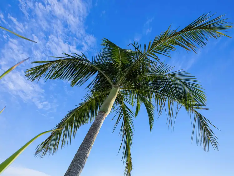 Sixth view of Homely house listing, 20 Tone Drive, Collingwood Park QLD 4301