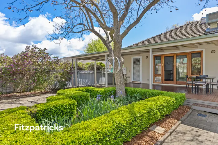 56 Hodson Avenue, Turvey Park NSW 2650