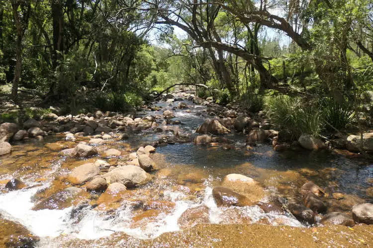LOT 29 Rocky River Road, Rocky River NSW 2372