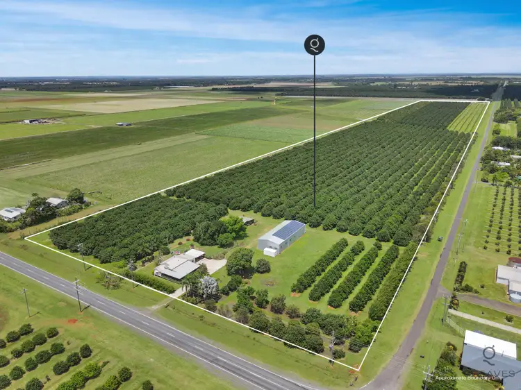 Main view of Homely rural property listing, 826 Moore Park Road, Welcome Creek QLD 4670