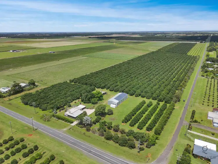 Third view of Homely rural property listing, 826 Moore Park Road, Welcome Creek QLD 4670