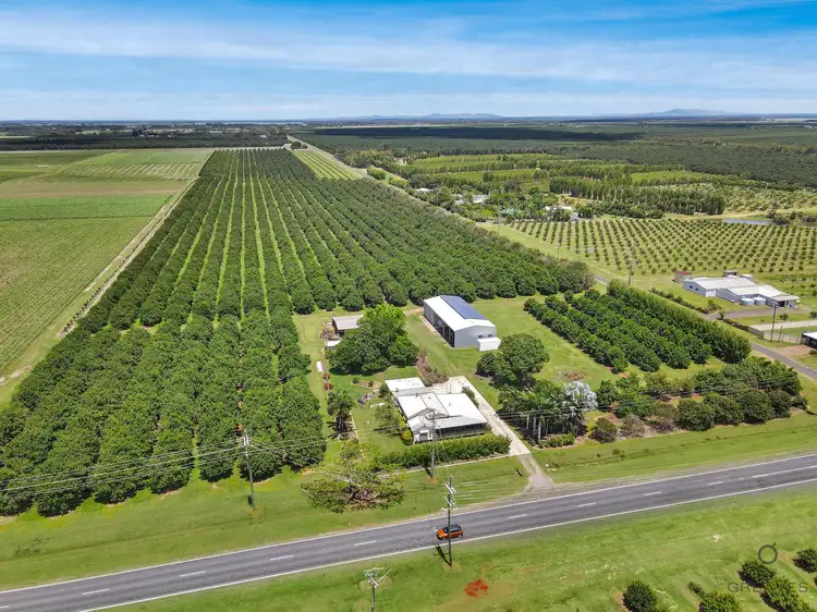 Fourth view of Homely rural property listing, 826 Moore Park Road, Welcome Creek QLD 4670